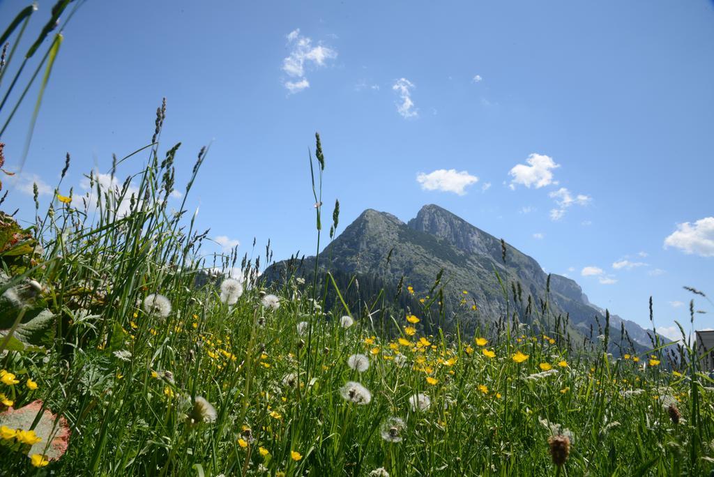 Hotel Der Alpenblick Sankt Johann im Pongau Exterior foto